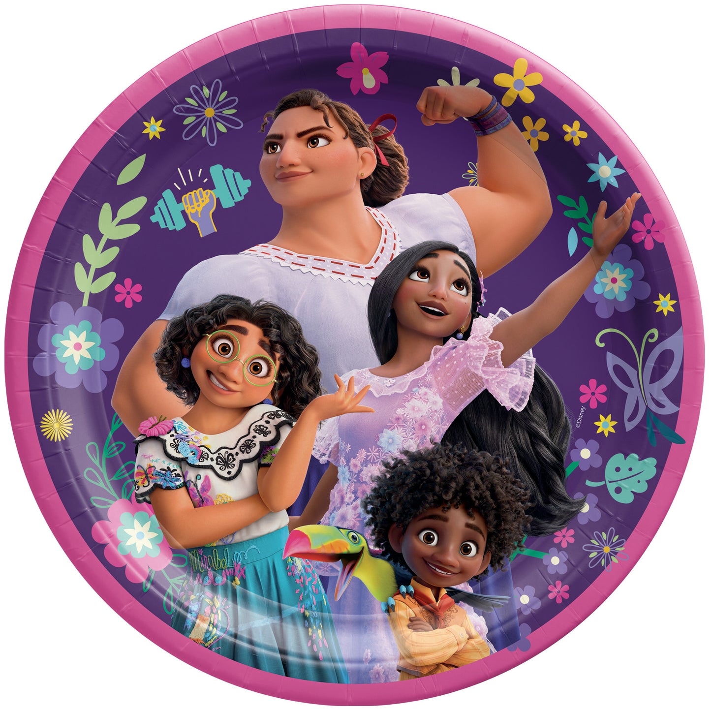 Disney Encanto Round 9" Paper Plates, 8-pc