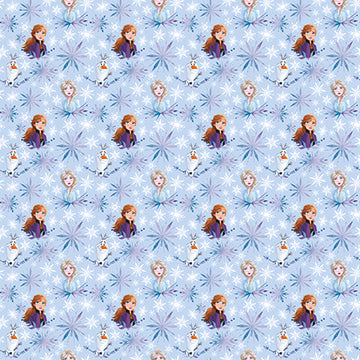 Disney Frozen 2 Gift Wrap, 30" x 5 ft