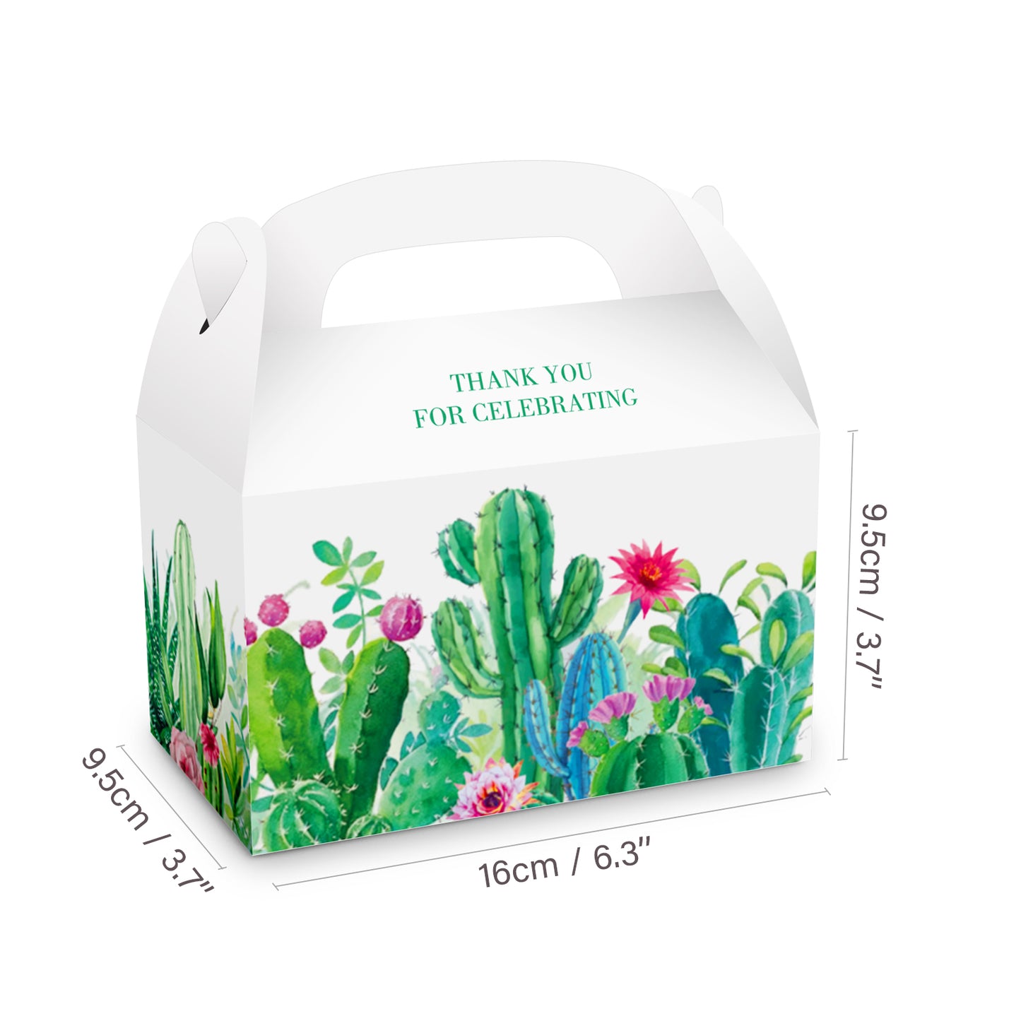 Cactus Paper Boxes, 12-pc