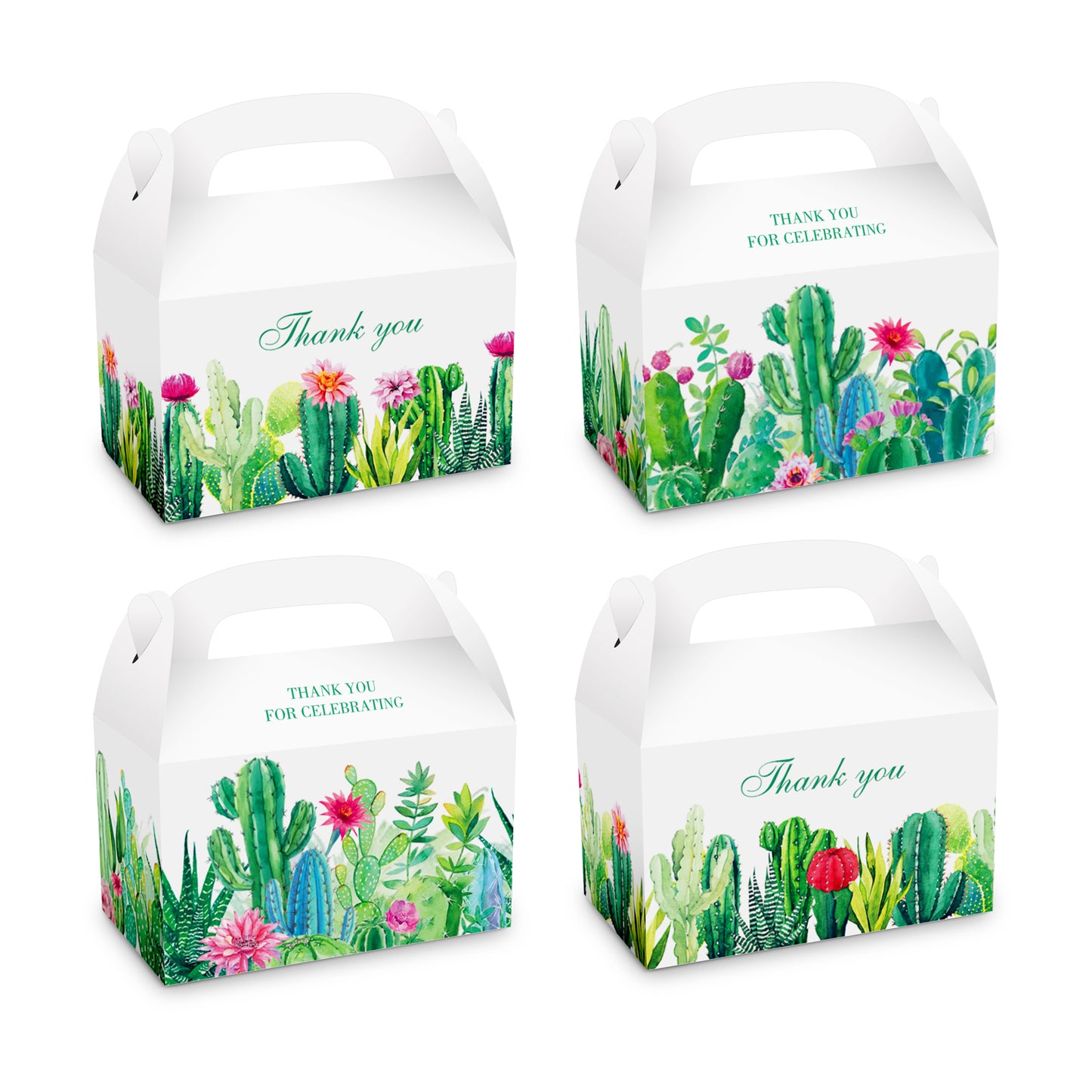 Cactus Paper Boxes, 12-pc