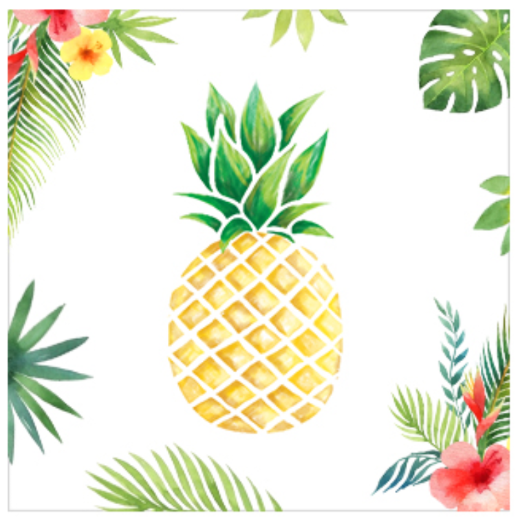 Serviettes de table ananas et flamant rose, 20 pces